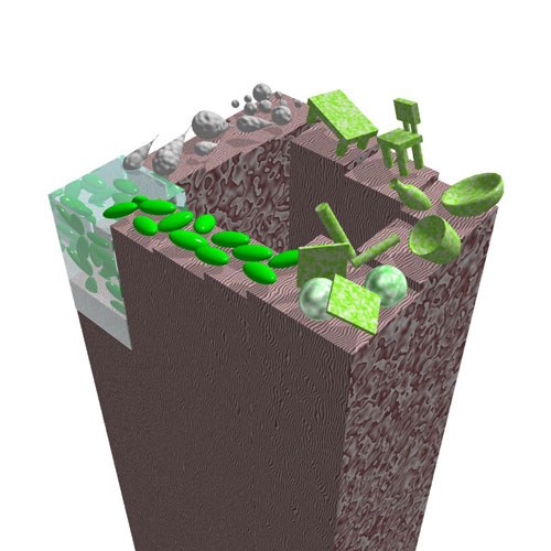 Fabrication of novel functional cell-plastic using polyvinyl alcohol