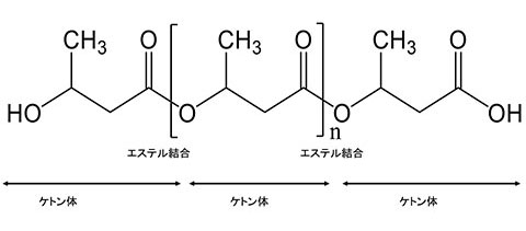 PHBの分子構造