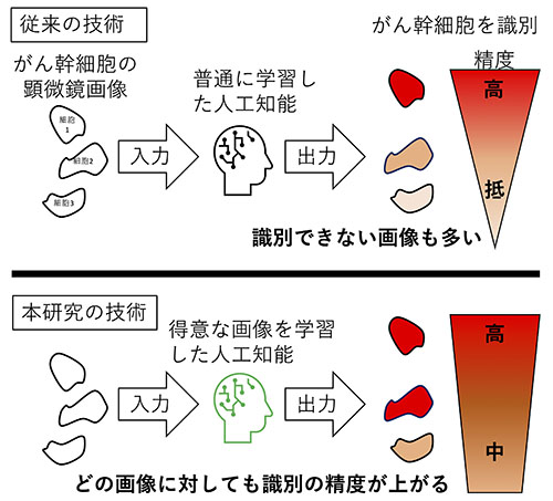 本研究の概略