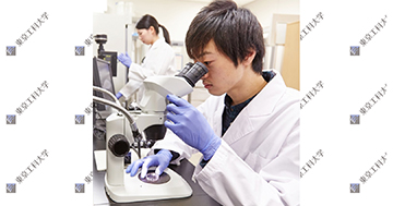 応用生物学部「Challenge Lab.（チャレンジラボ）」開催　身近な食品やサステイナブル技術を大学の実験設備で体験