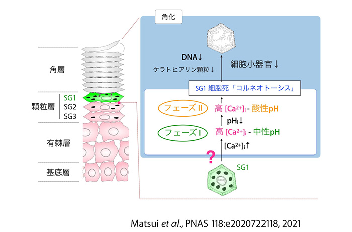 20231109_matsui08.jpg