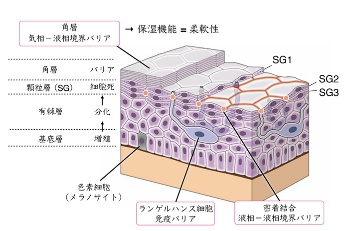 20231109_matsui09.jpg