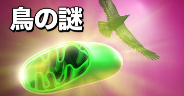人気YouTubeチャンネル「サイエンスドリーム」に、応用生物学部佐藤拓己教授の研究が紹介されました