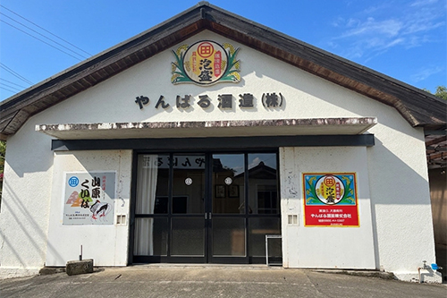20260914_matsui_07.jpg