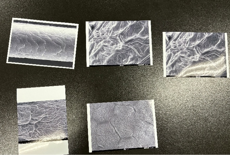 夏休み子ども科学教室の様子4