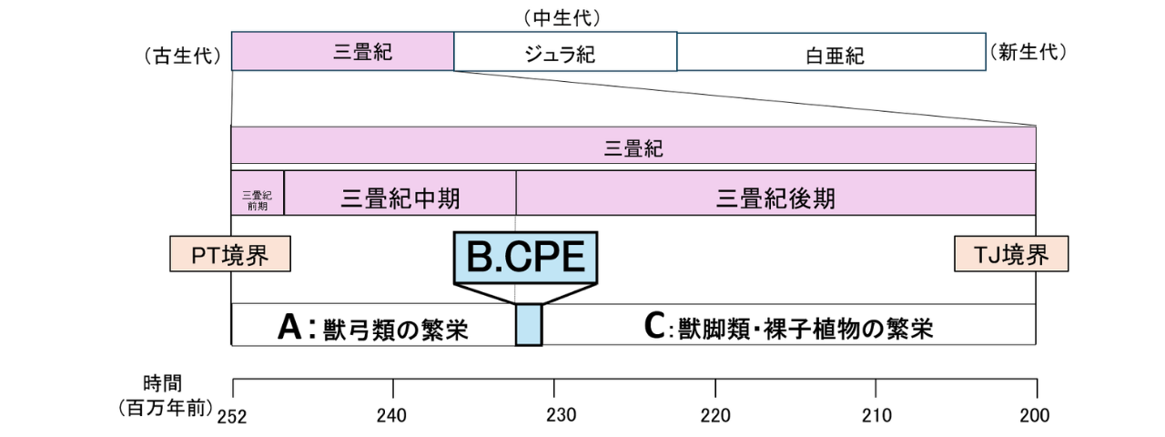 CPEの後、獣脚類と裸子植物の拡大