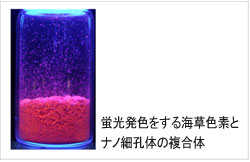 蛍光発色をする海草色素とナノ細孔体の複合体