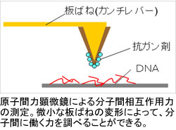 【楽天ランキング1位】 ナノテクノロジーとアイデアを駆使して、新しい発見や新しい その他