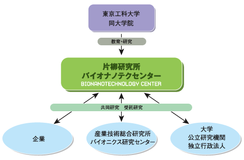 片柳研究所 バイオナノテクセンターの関連イメージ