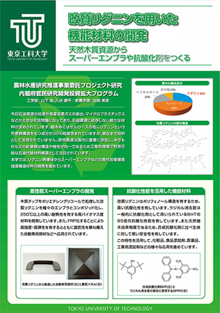 天然木質資源からスーパーエンプラや抗酸化剤を作る