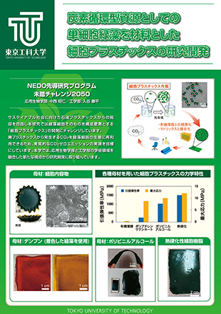 細胞プラスチックスの開発