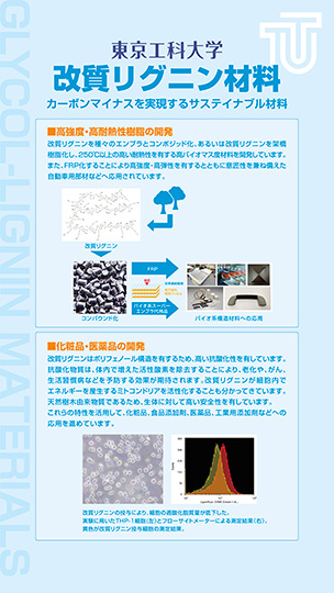 改質リグニン材料　２