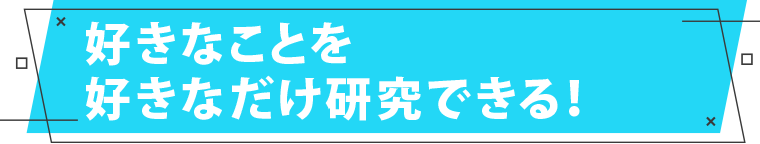 好きなことを好きなだけ研究できる！。