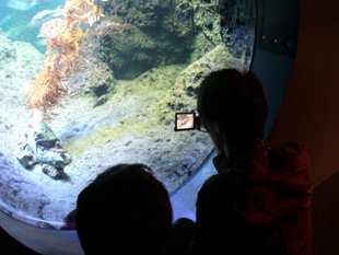 水族館での取材