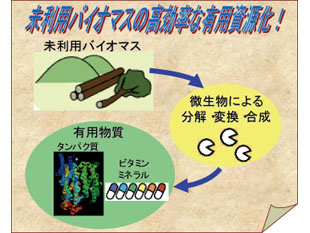 スーパー微生物を有用資源化！