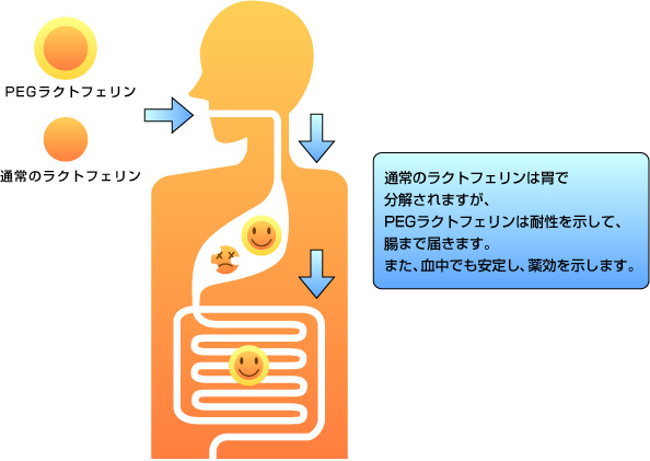 ポリエチレン グリコール