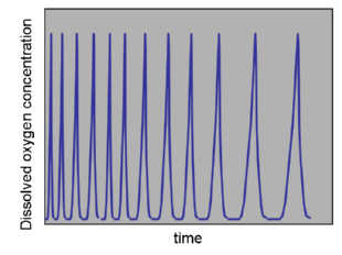 カタラーゼ・過酸化水素系で得られる振動波形。時間の経過とともに酸素濃度が規則的に増減を繰り返している。