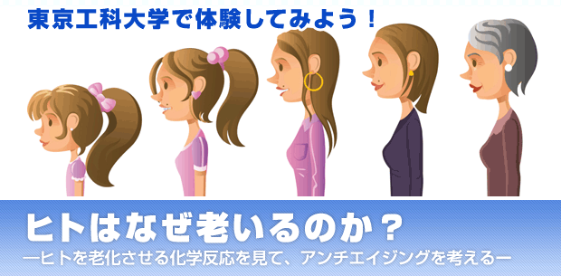 ヒトはなぜ老いるのか？ -ヒトを老化させる化学反応を見て、アンチエイジングを考える-