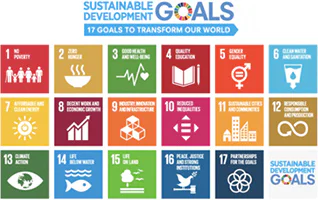 s1