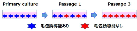 20210423iwabuchi03