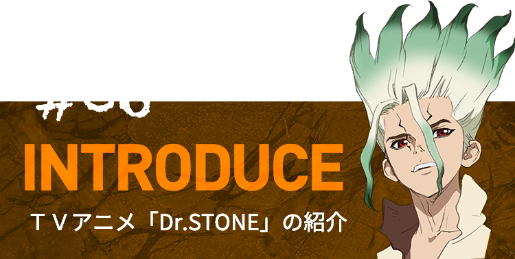 #06 INTRODUCE Dr.Stoneの紹介
