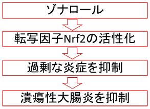 図3：ゾナロールのメカニズム