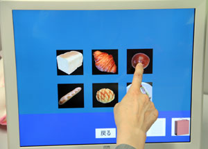 高次脳機能障害の評価システム