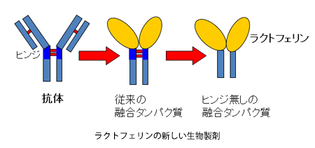 ラクトフェリンの新しい生物製剤