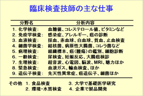 臨床検査技師の主な仕事