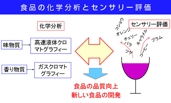 食品の化学分析とセンサリー評価